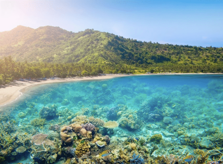 Siapa Saja yang Butuh Trip Ke Lombok Segera?